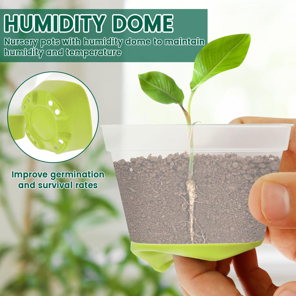 12Pcs Clear Nursery Pots with Drainage Holes Silicone Base for Easy Transplant Reusable Seedling Starter & Flower Plant Pots