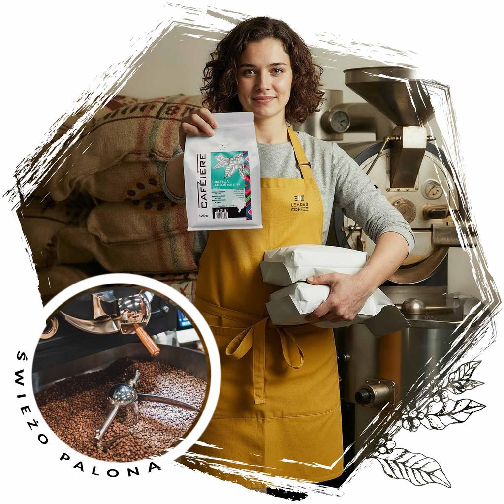 Kawa ziarnista cafeiere arabica brazylia santos scr 17/18, 1kg