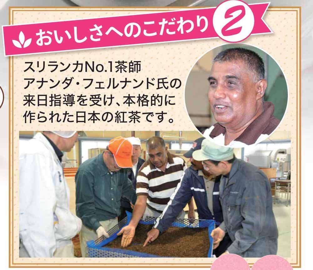 Shizuoka Tea Leaves Kakegawa Black Tea Shiawase Kaori Tea Bags, 10 Tea Bags x 3 Tea Bags