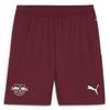 RB Leipzig Football Shorts Training DryCELL Bordeaux
