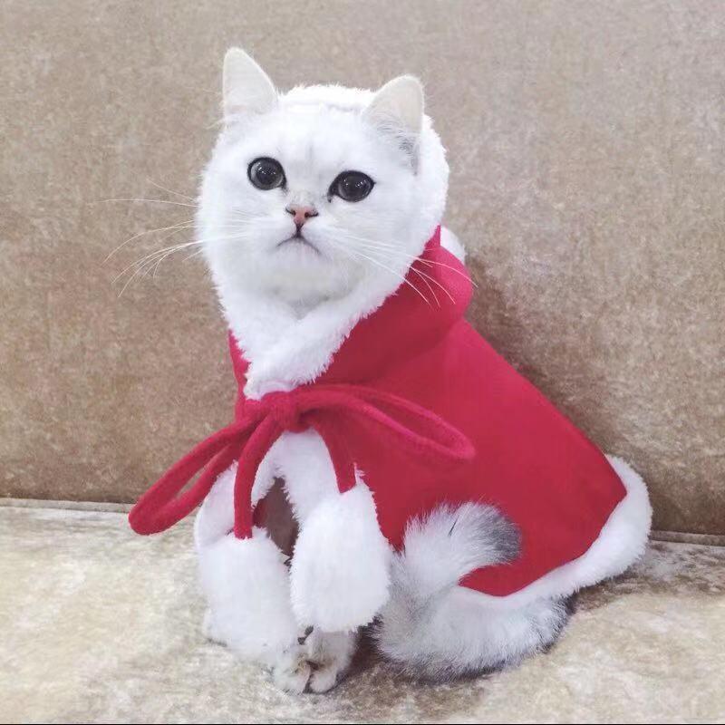 Pet Christmas Costume Winter Warm Coat Dogs Cats Hooded Cape With Santa Hat Holiday Outfit