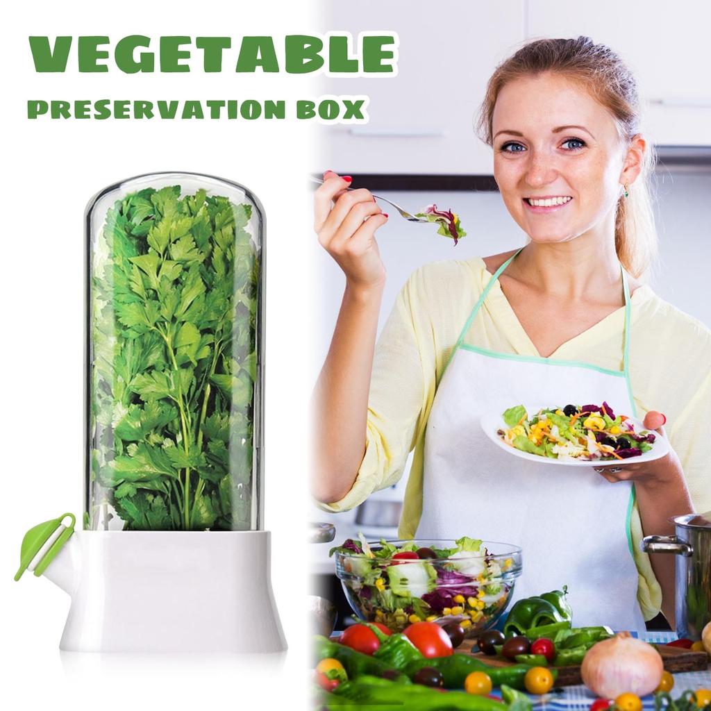 Herb And Vegetable Fresh-keeping Box, Anti-crushing Environmentally Friendly Fresh-keeping Device, Creative Coriander Fresh-keeping Cup