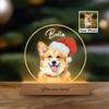 Individuelles Acryl-LED-Nachtlicht Personalisierte Haustierporträt-Design Mit Namensgravur Sentimentales Geschenk Für Tierliebhaber