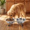 Iron Frame Stainless Steel Pet Bowl Anti-leak Pet Drinking Bowl Cat Double Bowl  Pet Feeding