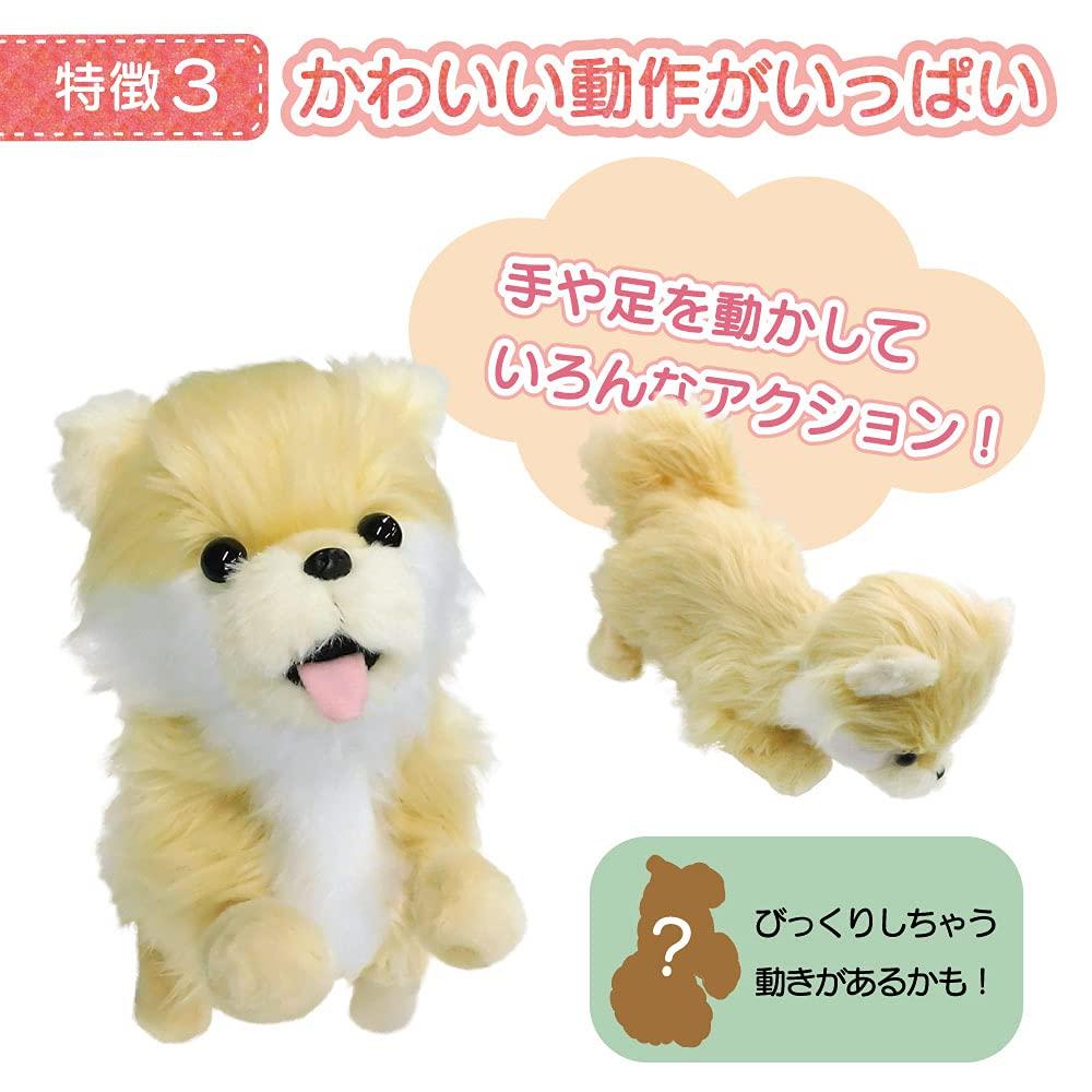 Broadwatch Mówiący, ruszający się, śpiewający Kocham historie Pomorski pies-robot, który potrafi rozmawiać i tańczyć. Pluszak z obrożą. Ekscytujący