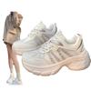 Small 6cm thick-soled dad shoes women's spring 2025 new breathable mesh fashion heightening casual women's shoes