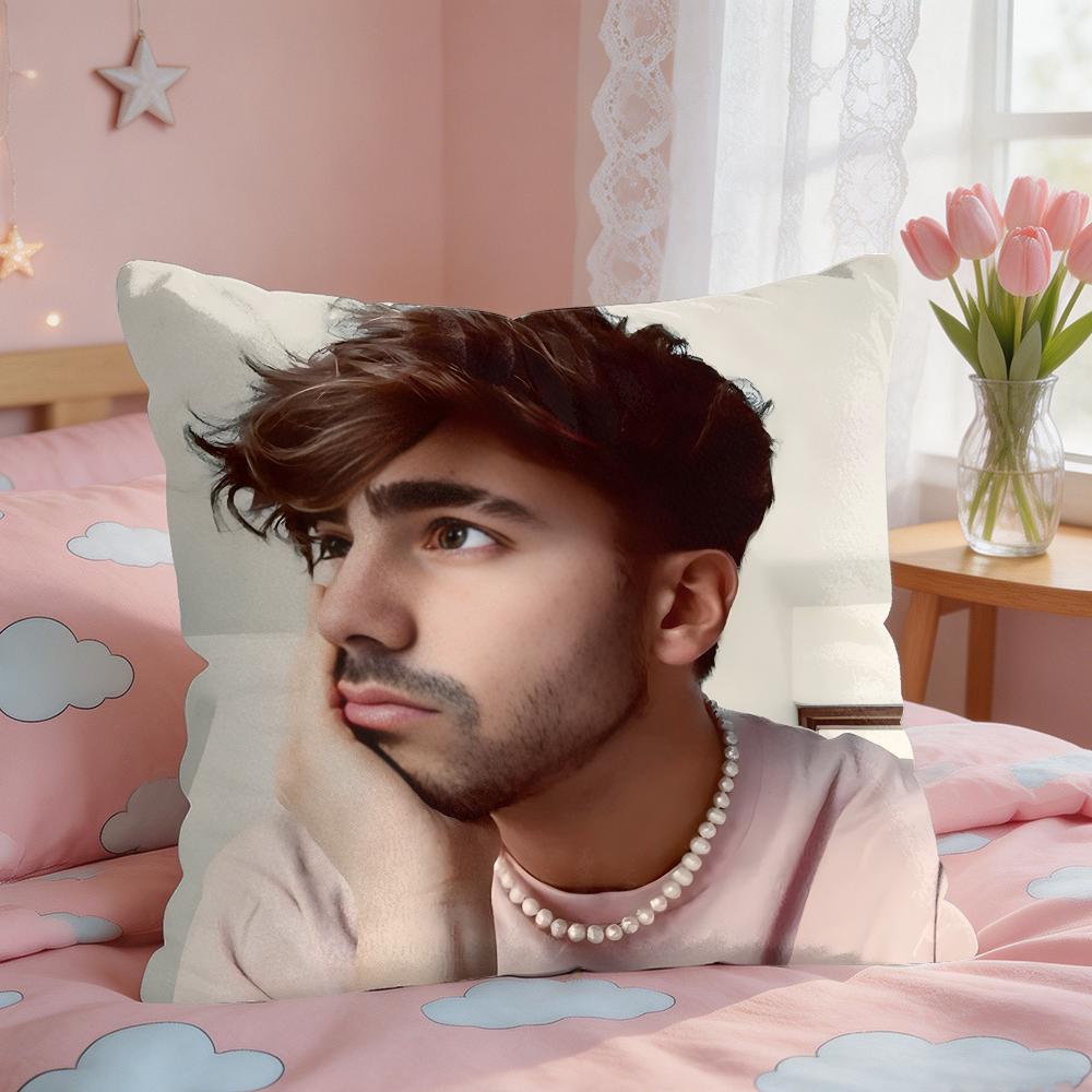 Internet Celebrity Fede VVigevani Cushion Cover Square Short Plush Pillow Case Living Room Sofa Home Decor Funda X