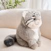 Peluche Corto Gatto Pallass Peluche Giocattolo Per Regalo E Esposizione