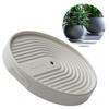 Mobile Plant Holder with Easy Glides Wheels Plant Transport Tray Flowerpot Mover for Protecting Floor from Scratches