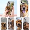 Labrador Golden Retriever Dog Luxury Phone Case For Apple iPhone 16 11 15 14 Pro MAX 12 13 7 8 Plus X XR XS SE Silicone Cover