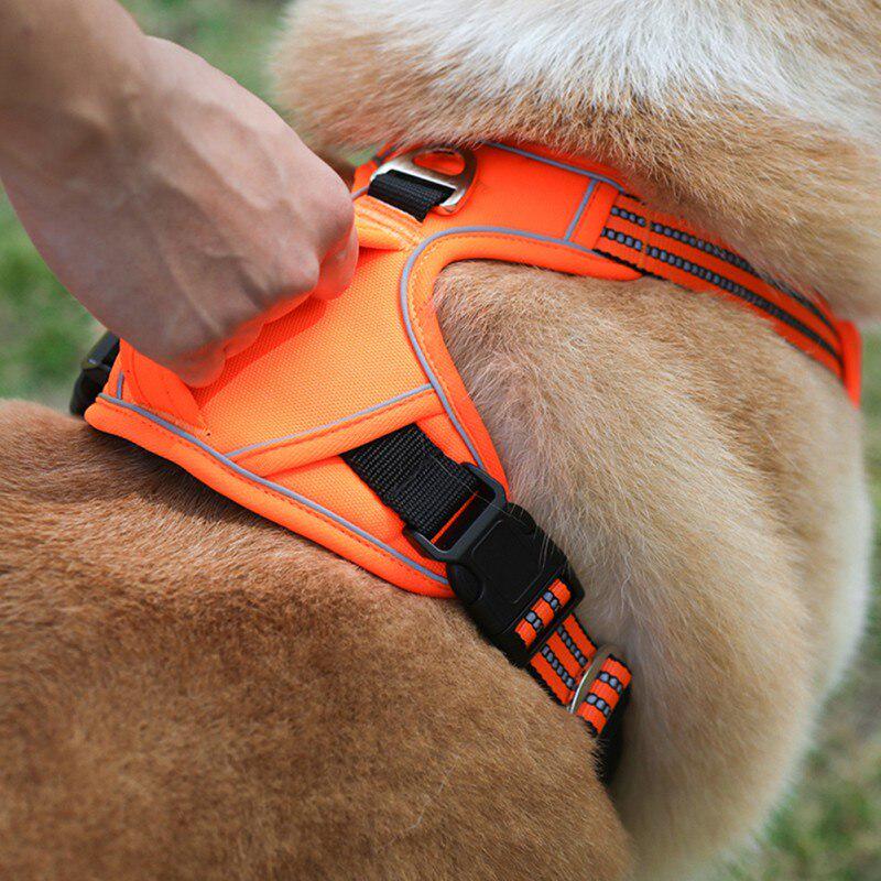 rbx dog harness