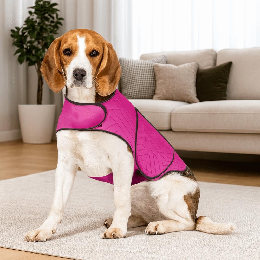 Elastische Hund Angstjacke Atmungsaktiv Reflektierend Hund Beruhigungshemd Halten Sie Haustier Ruhig Bequem Haustier Beruhigende Kleidung Reisen