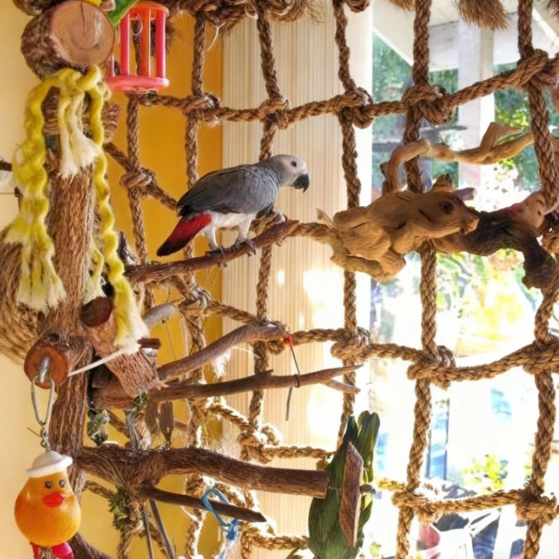 Parrot Climbing Net Creative Bold Hemp Rope Pet Bird Toy Parrot Adventure Entertainment Toy Pet Supplies accessories hamster toy