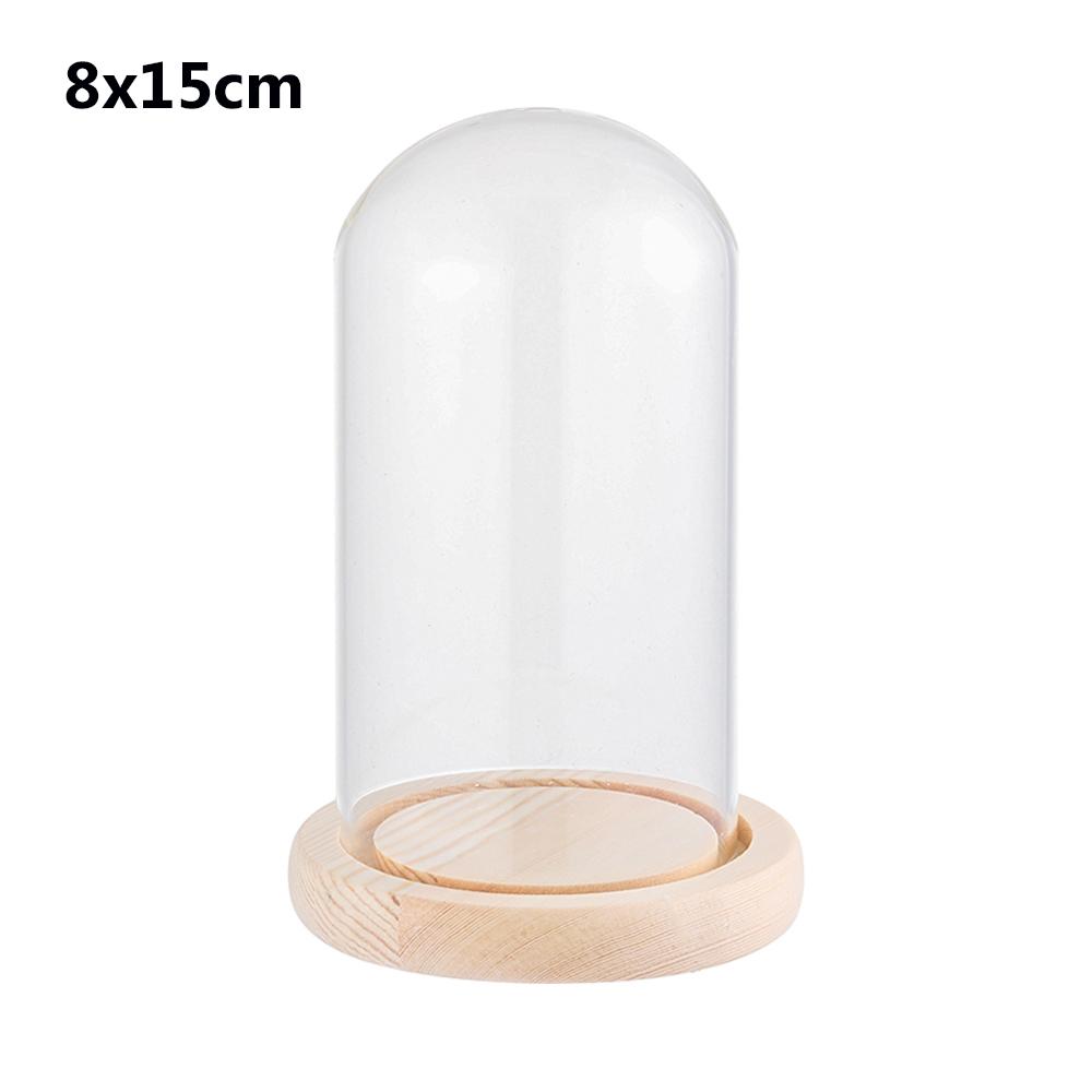 Terrarium Bottle with Wooden Base Dust Cover Glass Cloche Jar Display Stand Cover Display Box Immortal Flower Storage Bottle