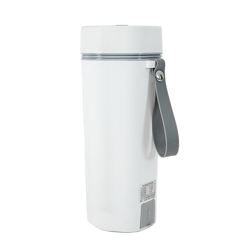 Electric Water Cup Household Portable European Standard Car 12V/24V Electric Kettle