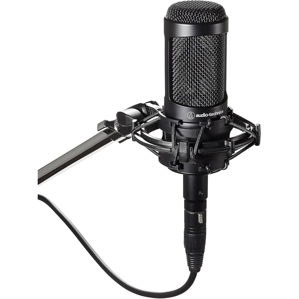 Audio-Technica AT2035 Condenser Microphone Single Directional/Low Cut Switch/Pad Switch/Exclusive...
