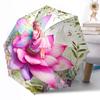 Florale Eleganz in Rosa Kompakter Reise-Automatikschirm Einziebares Design mit 8-Rippen-Haltbarkeit Faltbares Design Reise-Essential Stilvolles Accessoire
