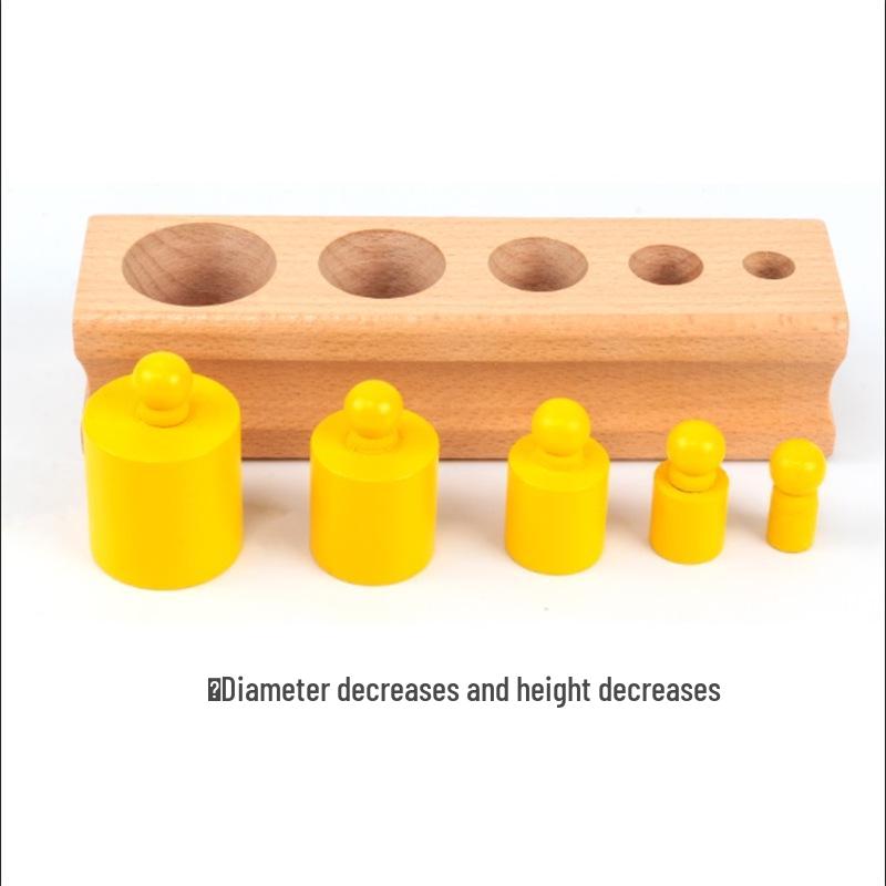 Montessori Holzsteckdosenzylinder Lernspielzeug für die frühe Kindheit und den Kindergarten