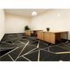 Large Area Pure Color Carpet for Bedroom, Living Room, Office & Commercial Spaces