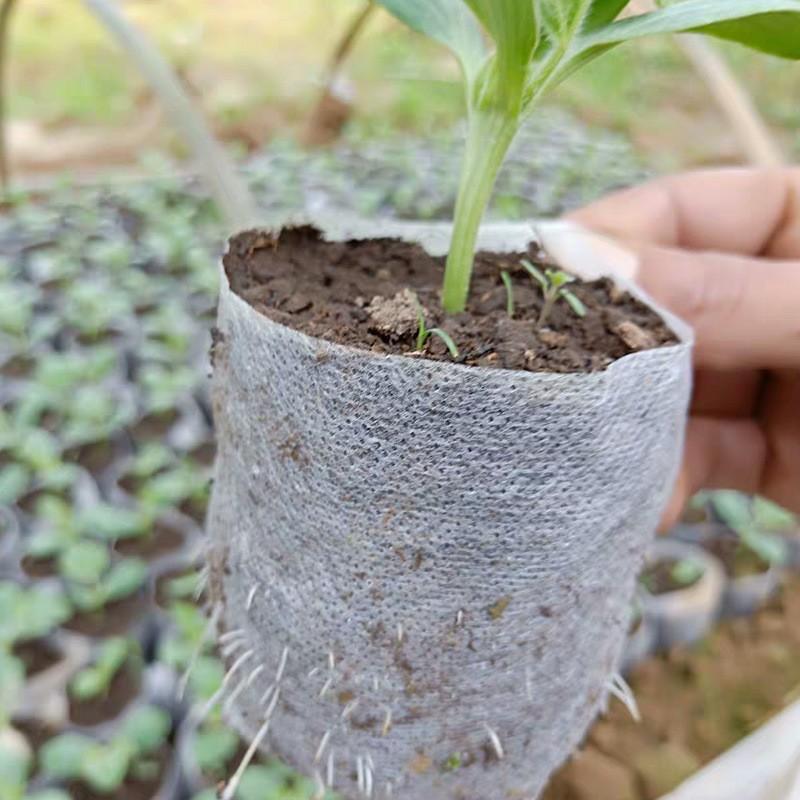 Non-woven Fabric Seedling Bags, Nutrient Pots, Beautiful Planting Bags, Seedling Cups. One Size