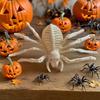 Festlig tilbehør – Accessories til Halloween