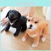 Adorável Brinquedo de Pelúcia de Cachorro com Design de Manchas Akita e Husky Boneca Macia Presente Para Crianças