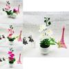 Plastic Orchid Bonsai Ornament With Injection Molded Finish For Living Space And Gift Ideas