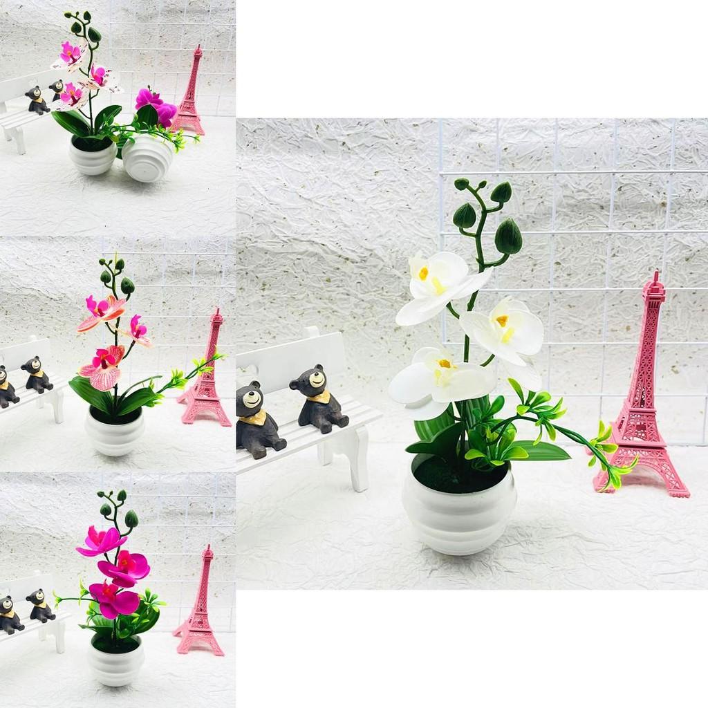 Plastic Orchid Bonsai Ornament With Injection Molded Finish For Living Space And Gift Ideas