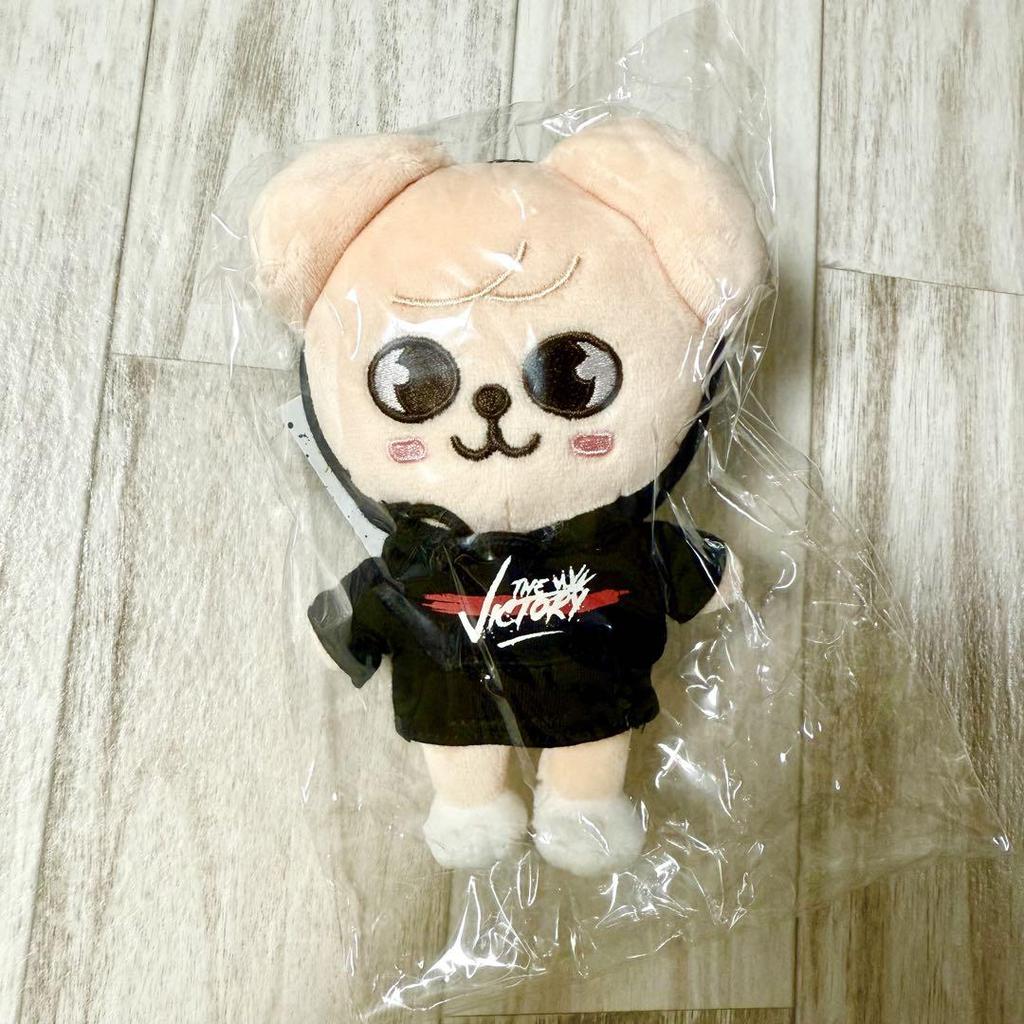 [USED] Anonymous Shipping Stray Kids SKZOO Seungmin Plush Toy