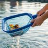 Swimming Pool Cleaning Net Fishing