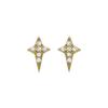 Luxenter 925 Sterling Silver and Brilliant Zirconia 18k Gold Finish Earrings-Tenwi