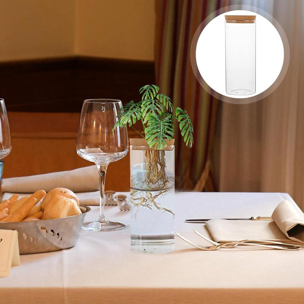 Hydroponic Plant Bottle, 8.21x3.34in Plant Vase Micro Landscape Bottle, Hydroponic Vase Plant Empty Glass Bottle, Water Flower Pot Container with