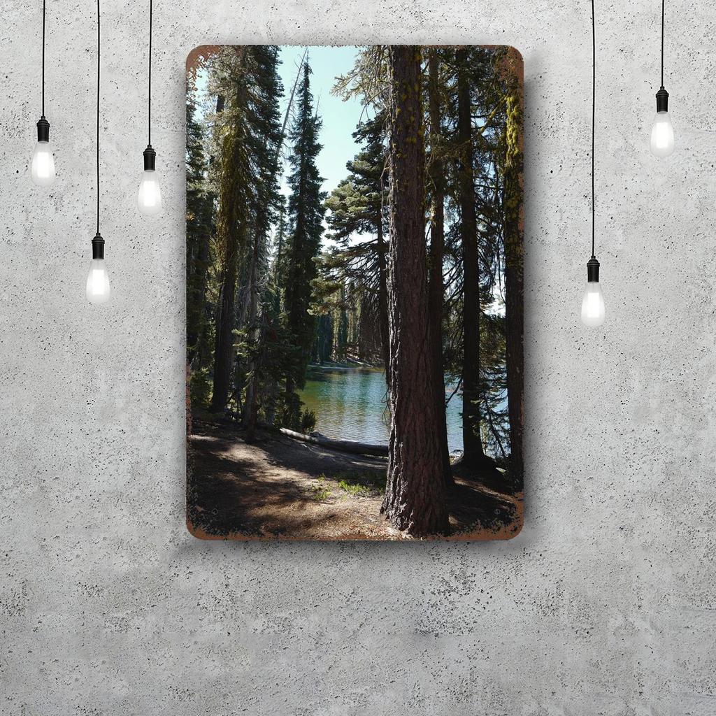 Lassen National Park Retro Vintage Tin Sign Poster Decorative Plaque Metal Plate Wall Decor