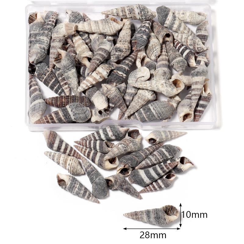 1 Box Sea Shell Spiral Shell Tiny Ocean Spiral Seashell Conch Crafts Aquarium Decoration Landscaping Accessory Photography Props
