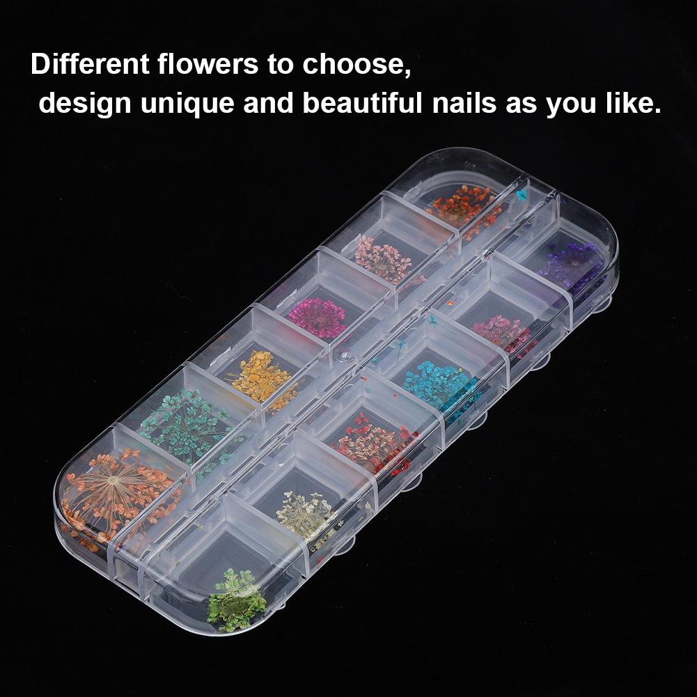 12 Colors Natural Dried Flower for Acrylic UV Gel Nail Art Tips Design Case DIY Decor A