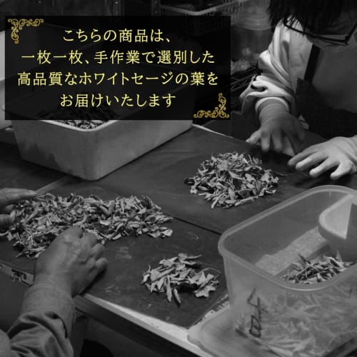 White Sage Cluster with Branches, 10g, Selected Premium Leaf, Pesticide-Free, California-Grown, Aroma White Sage