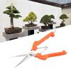 Orange Sturdy Fruit Tree Bonsai Gardening Pruning Shear Lengthened Garden Scissors
