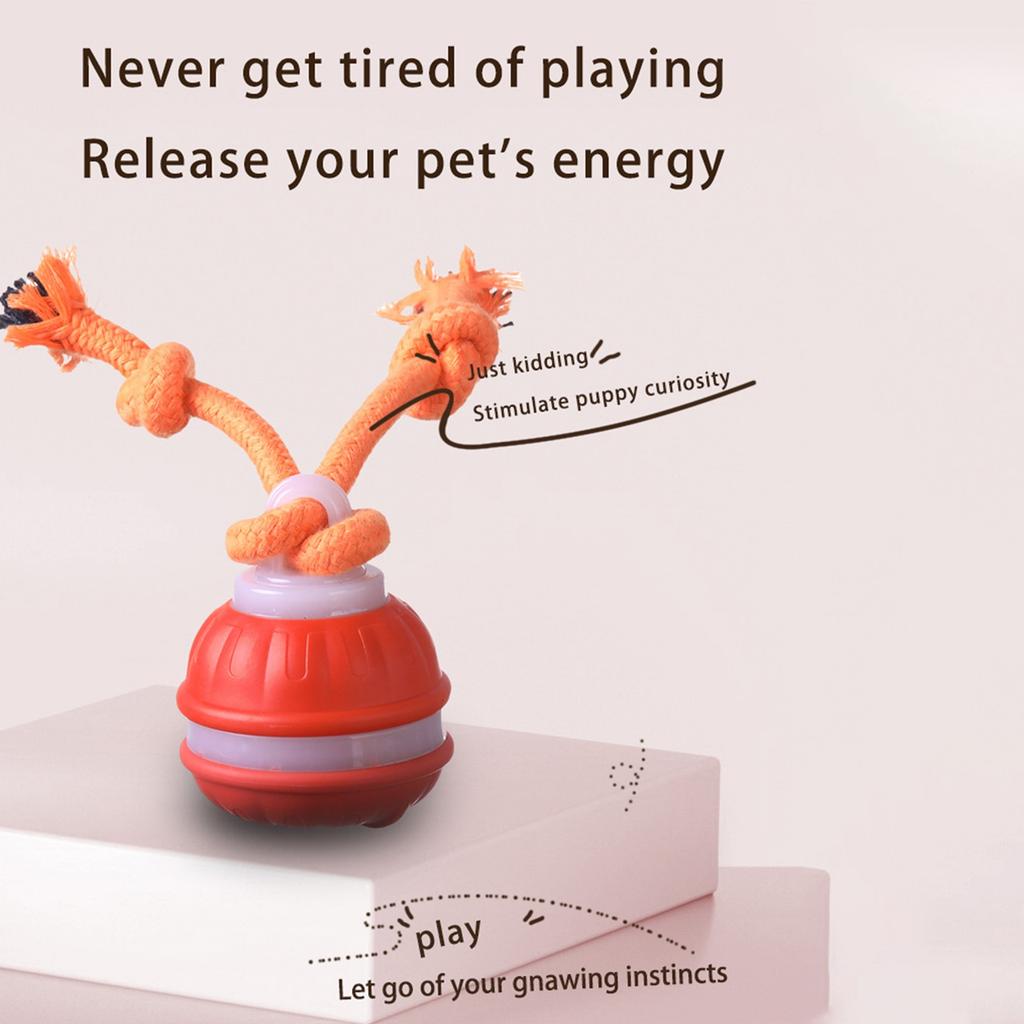 Interaktywne Zabawki dla Psa, Nowe Piszczące Zabawki dla Psa, Aktywna Tocząca się Piłka dla Szczeniaków i Psów Średniej Wielkości, Ładowana przez USB