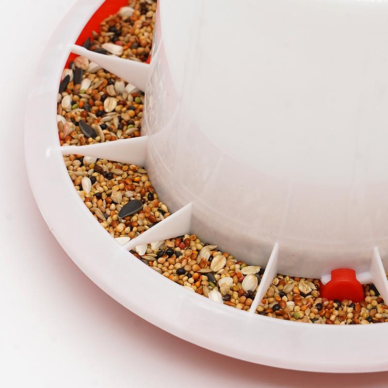 Chick Feeder Waterer Chicken Feeder Chicken Waterer Small Birds Poultry Feeding Equipment Kit