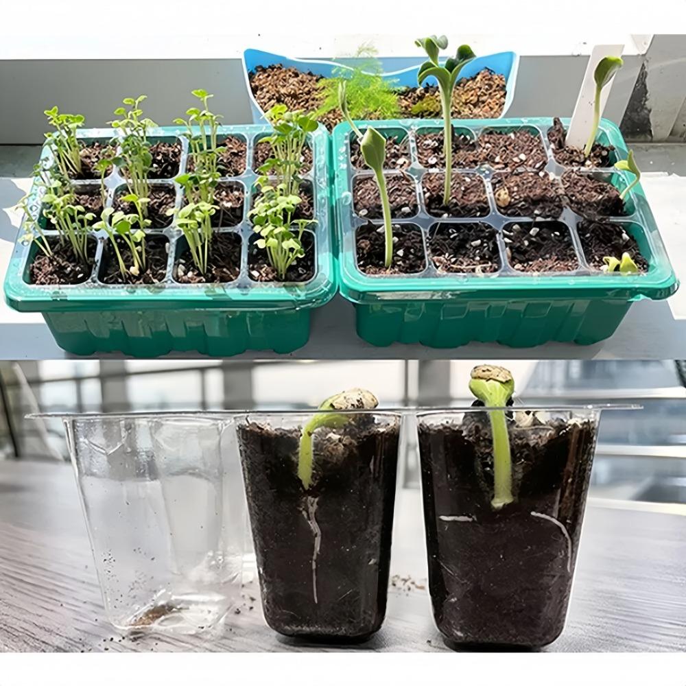 12/6 Hole Seedling Box Rectangular Breathable With Light Seedling Extractor For Vegetable Succulent Horticultural Planting Tray
