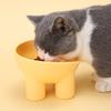 Elevated Oblique Cat and Dog Bowl with Anti-Tip Design – Protects Pet's Cervical Spine