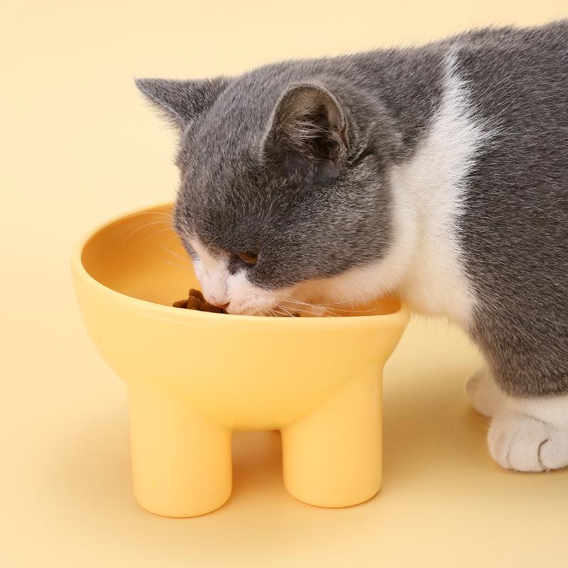 Elevated Oblique Cat and Dog Bowl with Anti-Tip Design – Protects Pet's Cervical Spine
