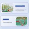 Shenwuying Manual Hydraulic Basketball Hoop