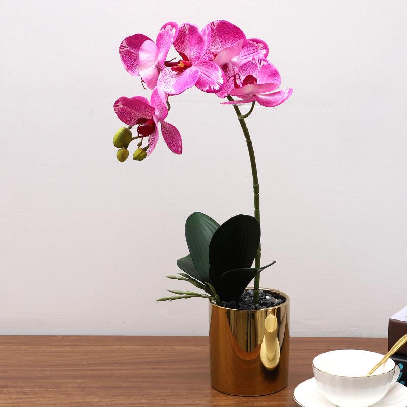 Simulation Plant Phalaenopsis Pot Home Living Room Decoration Fake Flower Flower Pot Simulation Flower Factory Wholesale