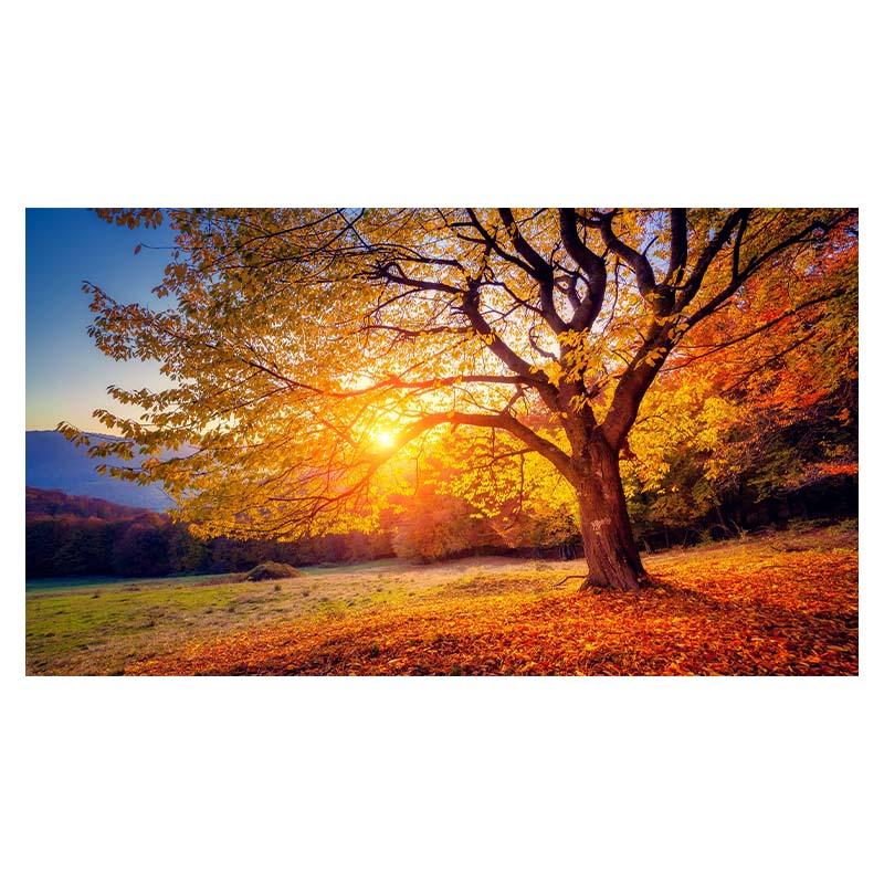 Водопад Живописный Мангровый Лес Пейзаж Холст Настенное Искусство Холст Картины Домашний — фото 10