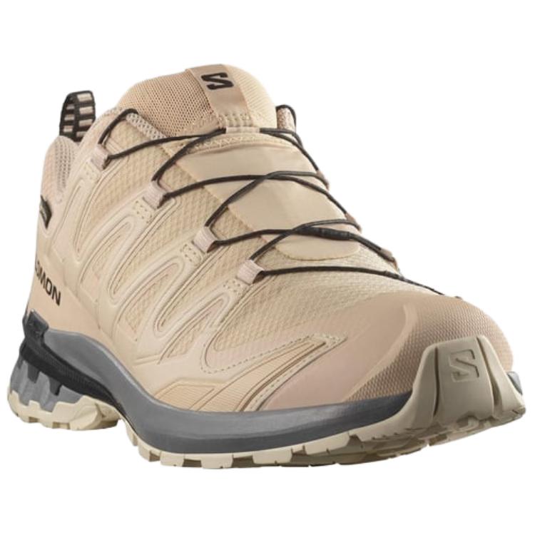 SALOMON XA Pro 3D V9 Running Shoes Men's Brown 478820