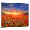 GLASPANEL FÜR DIE KÜCHE 65x60 Maki