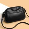 New Fashionable Versatile Crossbody Bag for Middle Aged Women, Mom, Compact Bag, Single Shoulder, Small Bag, Handheld