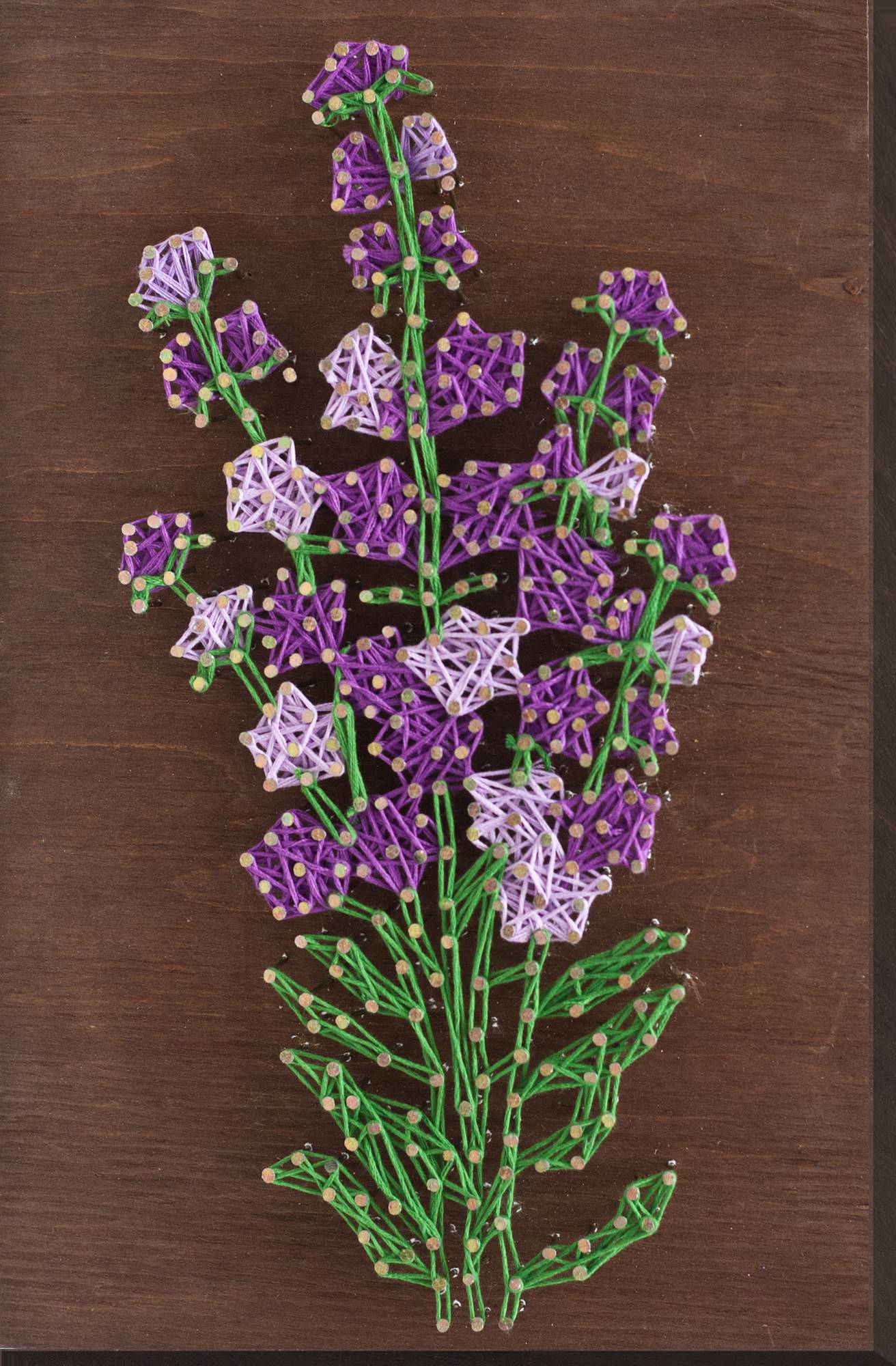 

Набір стрінг-арт Абріс Арт Рослини Lavender 290*190mm