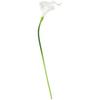 Photography Artificial Flower Washable Decoration 10pcs Indoor Outdoor